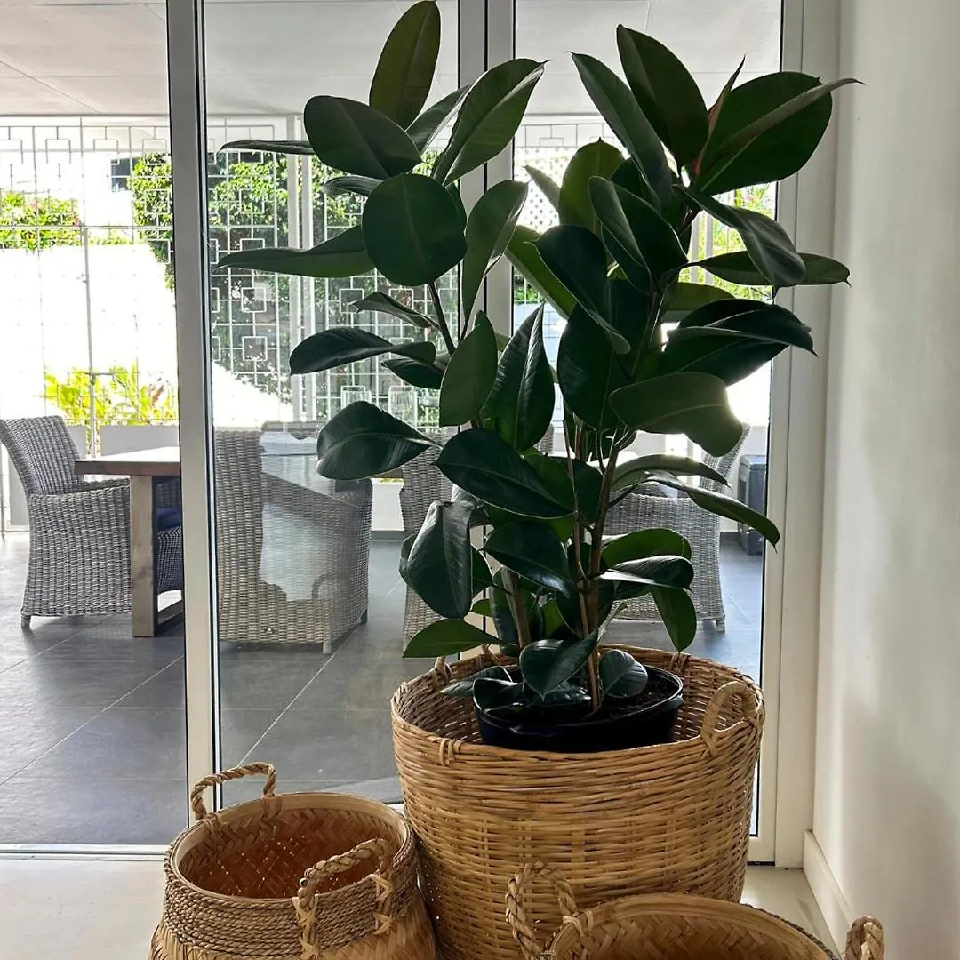 Dushi Stay Villa 威廉斯塔德