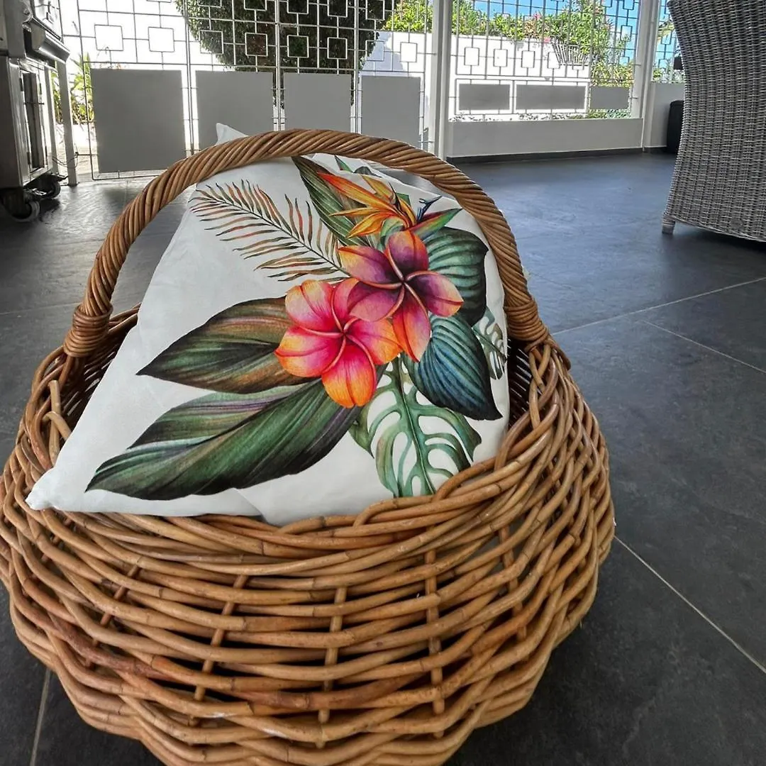 Dushi Stay Villa Willemstad Curaçao